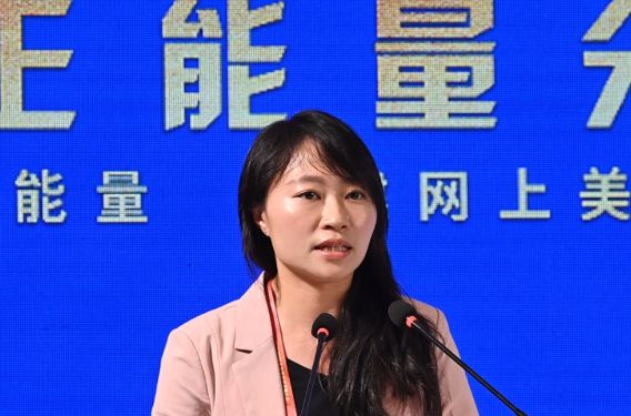 香港立法會議員陳穎欣：為國家發(fā)聲，展現真實的香港