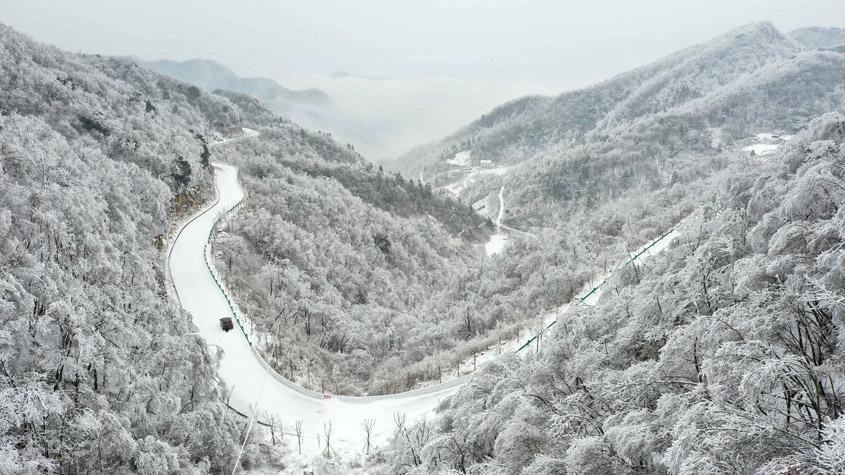 湖北?？惮F(xiàn)森林霧凇景觀 如水墨畫(huà)卷