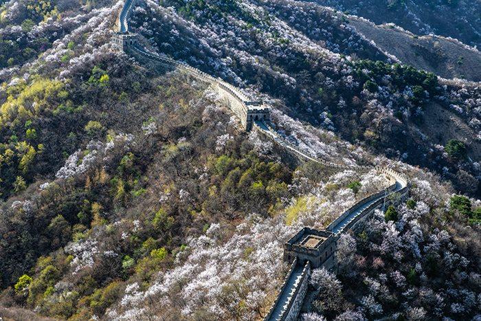 慕田峪長(zhǎng)城山花爛漫